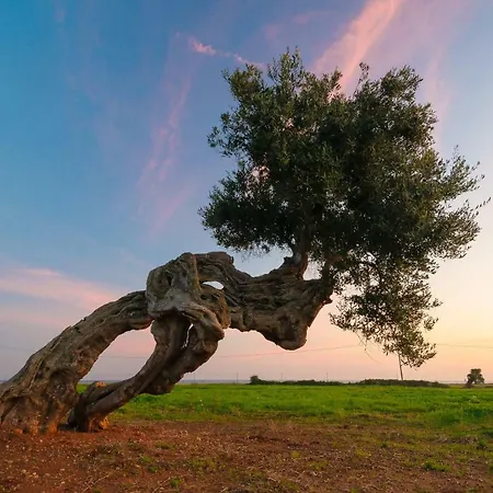 Oda ve Kahvaltı Organic Tribe Salento