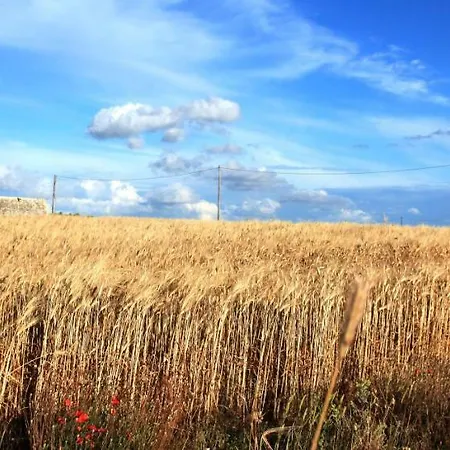 Organic Tribe Salento Bed & Breakfast Martano